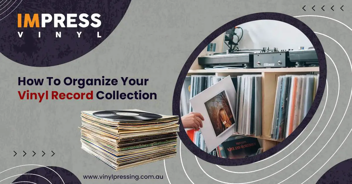 Organize-Your-Vinyl-Record-Collection