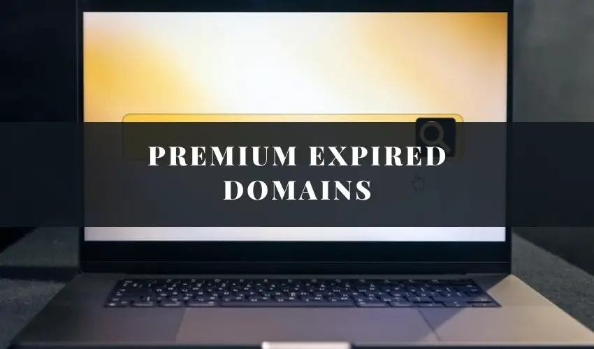 Premium Expired Domains