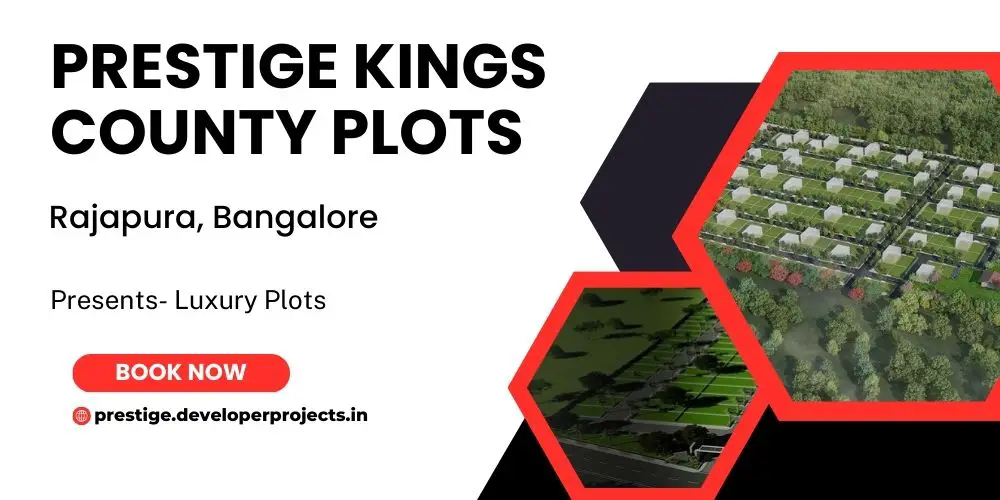 Prestige Kings County  (1)