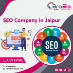 SEO Company in Jaipur