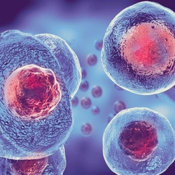 Stem Cell Banking Market Report