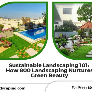 Sustainable Landscaping 101 How 800 Landscaping Nurtures Green Beauty.