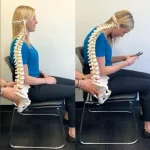 chiropractic princple