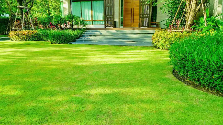 10 Essential Tips for Effective Summer Lawn Care In 2024