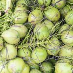 tender coconut suppliers in banglore