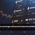 white-label crypto exchange software development problems and solutions