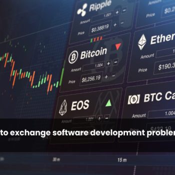 white-label crypto exchange software development problems and solutions