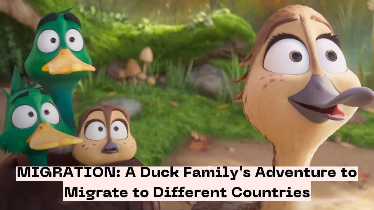 MIGRATION: A Duck Family's Adventure to Migrate to Different Countries