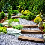 Commercial Landscape Services Fort Collins CO