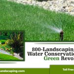 800-Landscaping-Supports-Water-Conservation-in-Dubais-Green-Revolution-