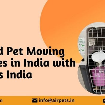 Abroad Pet Moving Services in India with AirPets India - Copy