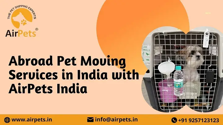 Abroad Pet Moving Services in India with AirPets India - Copy