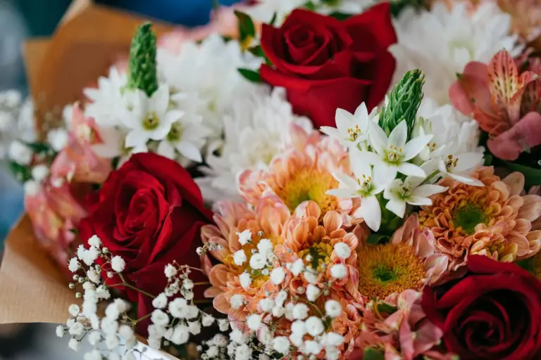 A bouquet of flower