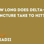 How Long Does Delta-8 Tincture Take to Hit