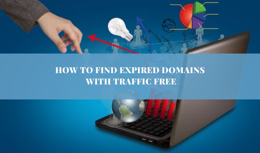 How To Find Expired Domains With Traffic Free