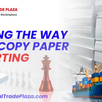 Leading the Way in A4 Copy Paper Exporting