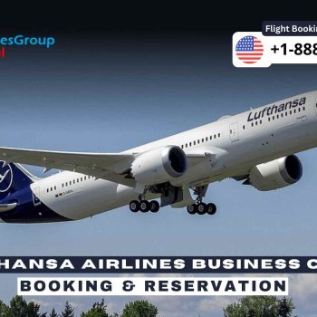 Lufthansa Airlines Business Class (1)