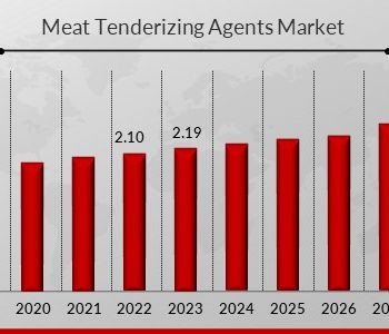 Meat Tenderizing Agents Market 1