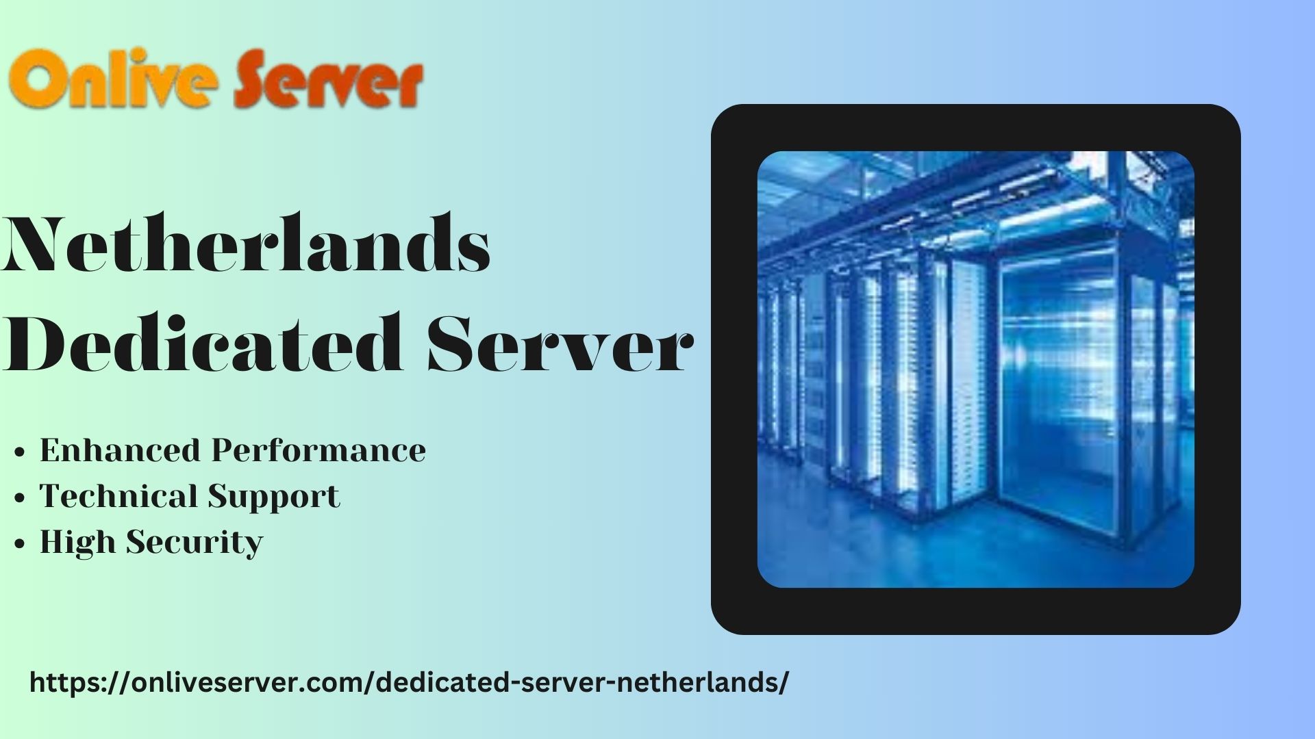 Netherlands Dedicated Server (97)