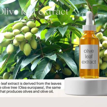 Olive-leaf-extract