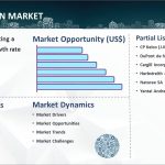 Pectin Market Report 2024