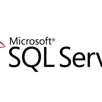 SQL Server Developer