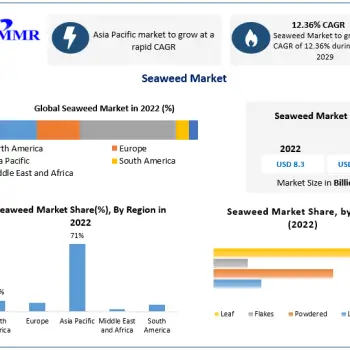 Seaweed Market