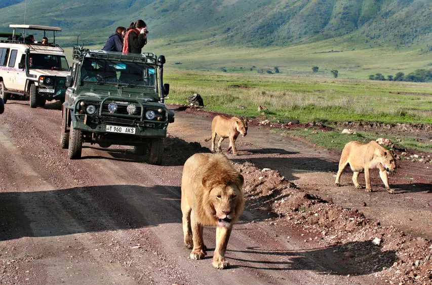 TANZANIA-NGORONGORO-CONSERVATION-AREA-FEBRUARY-13-2008-Jeep-safari-in-Africa