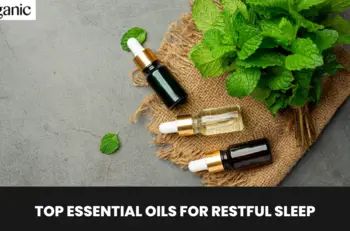 Top Essential Oils for Restful Sleep