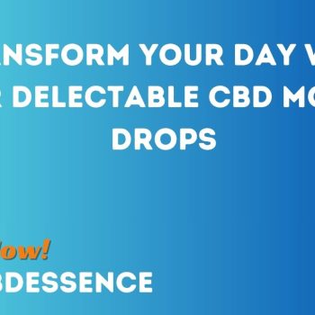 Transform Your Day with Our Delectable CBD Mouth Drops