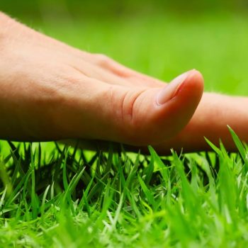 hand-touching-lawn