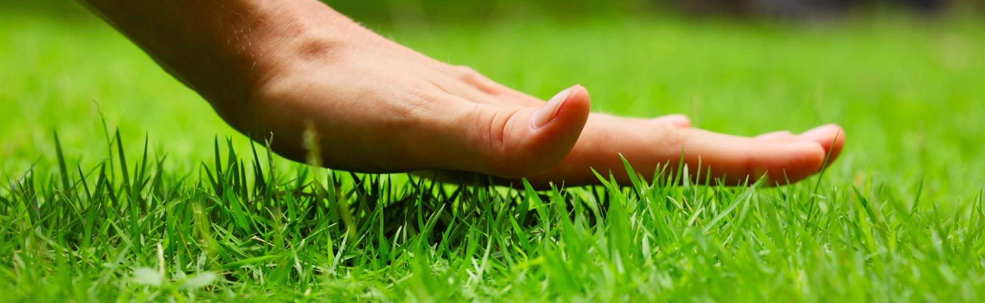 hand-touching-lawn