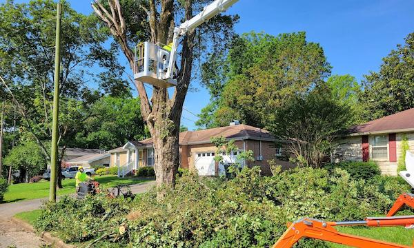 wood-movers-tree-service-home-hero-1920w