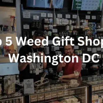 5 Weed Gift Shops in Washington DC