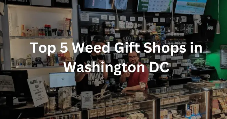 5 Weed Gift Shops in Washington DC