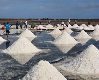 Australia salt market