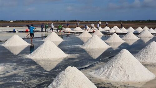 Australia salt market