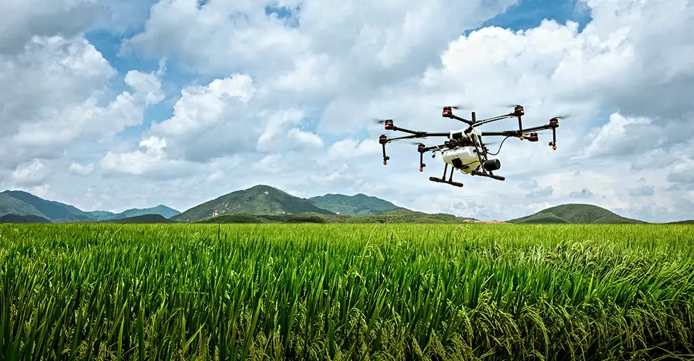 Collecting-and-Analyzing-Drone-Imagery-for-Crop-Monitoring