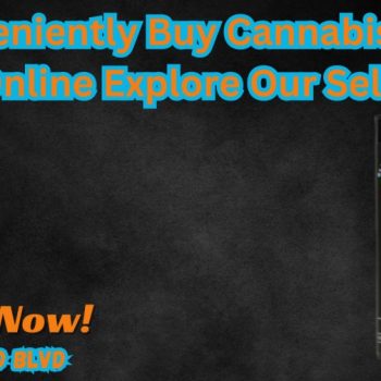 Conveniently Buy Cannabis Pre-Rolls Online Explore Our Selection