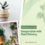 Creative Plant Sale Instagram Po