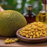 Default_Jackfruit_Seed_Oil_Processing_Plant_Project_Report_1