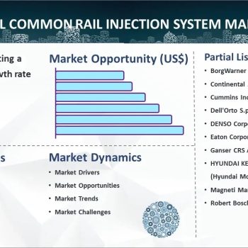 Diesel Common Rail Injection System Market