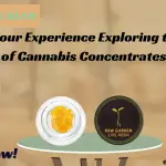 Elevate Your Experience Exploring the World of Cannabis Concentrates