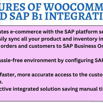 Features Of WooCommerce And SAP B1 Integration