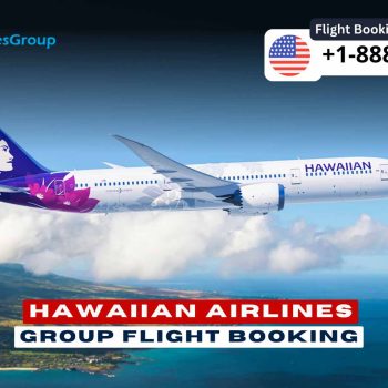 Hawaiian Airlines Group Flight Booking