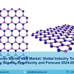 Hexagonal Boron Nitride HBN Market