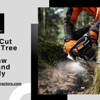 How to Cut Down a Tree with a Chainsaw Safely and Precisely-compressed