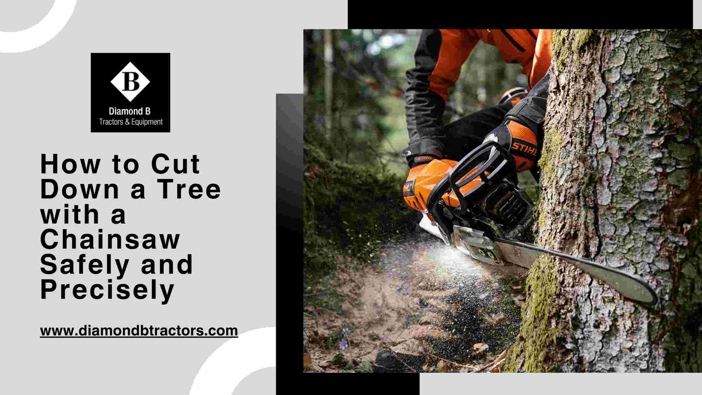 How to Cut Down a Tree with a Chainsaw Safely and Precisely-compressed