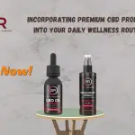 Incorporating Premium CBD Products into Your Daily Wellness Routine-min