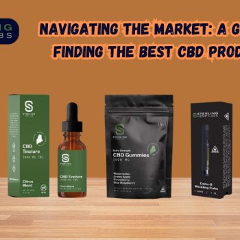 Navigating the Market A Guide to Finding the Best CBD Products